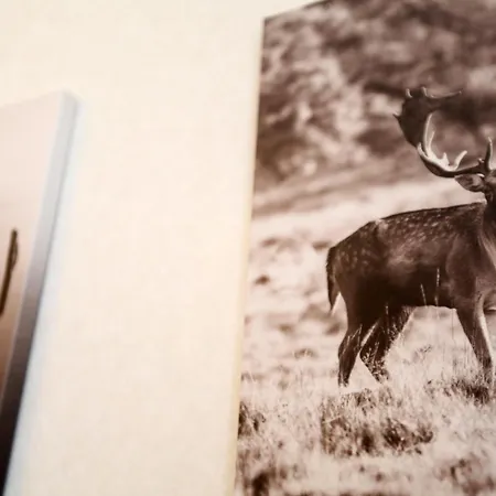 דירה Sunny Haven Bel Mare Parking, Basen Free *