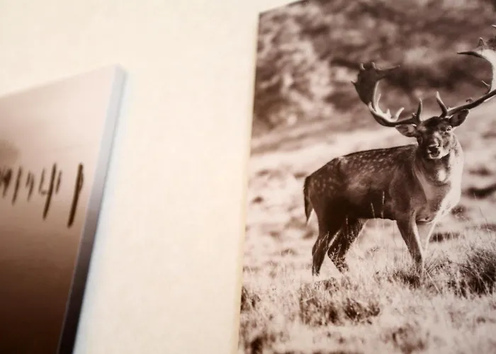 公寓 Aqua Bel Mare Parking Free Sunny Haven *